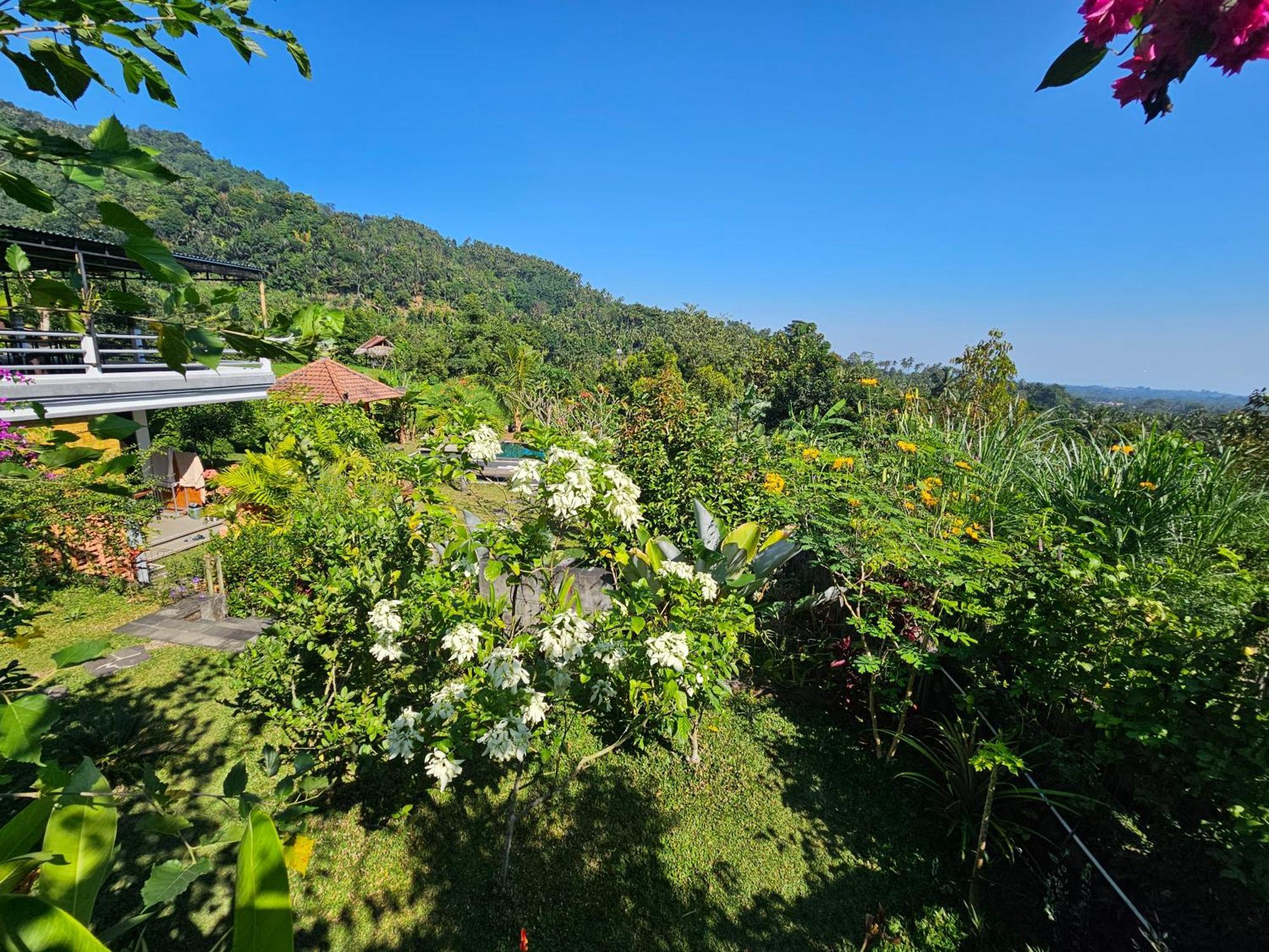 Villa Markisa Pakisan Sawan Exterior foto